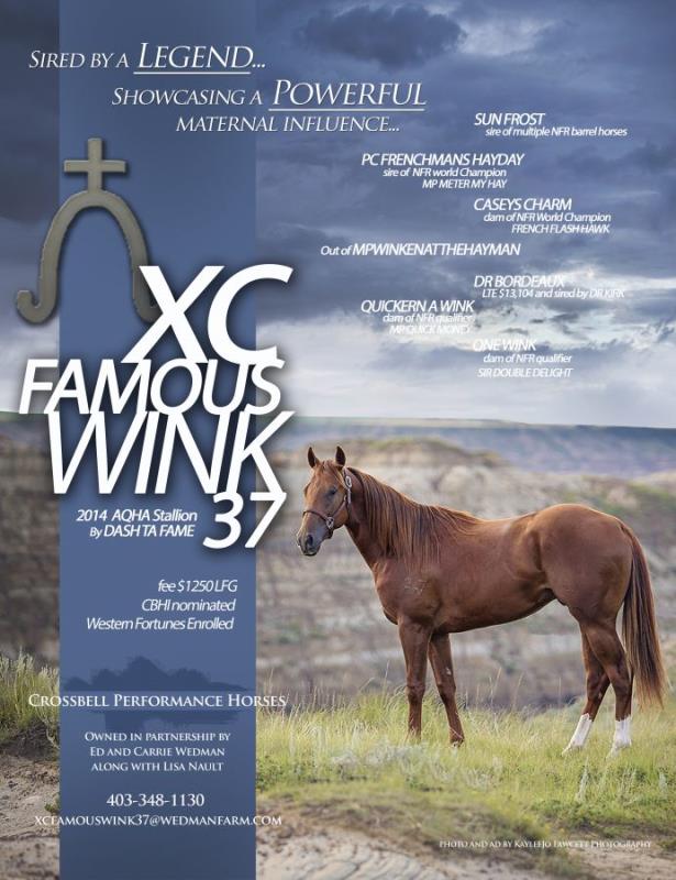 XC Famous Wink 37